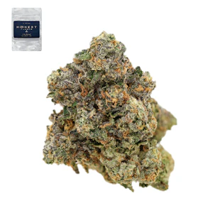 Honest flower - GELATO 25 X SFV OG