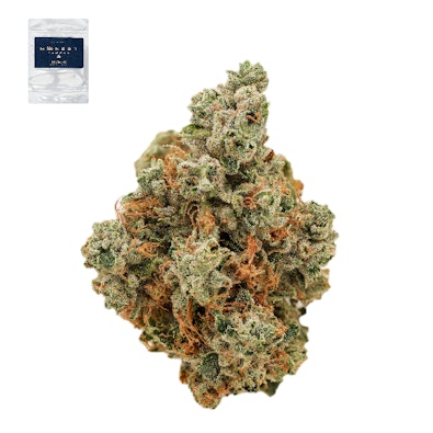 GINSENG OG 14G