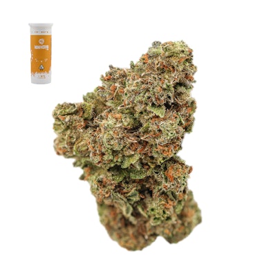 PURPLE AFGHANI 14G