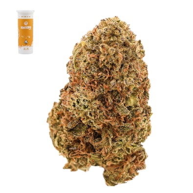 ORANGE ZKITTLEZ 14G