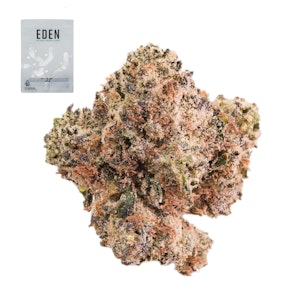 Eden - ZAGYU 14G