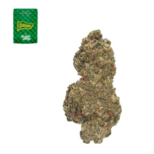 The classics - CHAMPAGNE 14G