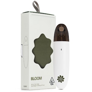 Bloom - GMO COOKIES 1G - LIVE SURF ALL-IN-ONE