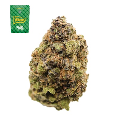 PURPLE URKLE