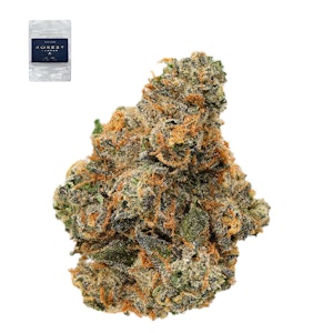 Honest flower - KHALIFA KANDY