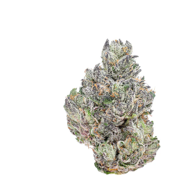 Munchies - GELATO ICE Main Image