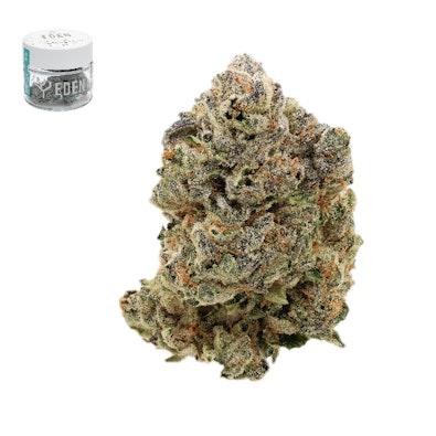 GUAVA X VERMONT DIESEL