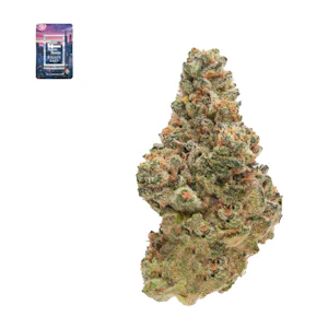 Eighty east - BUBBLEGUM JACK