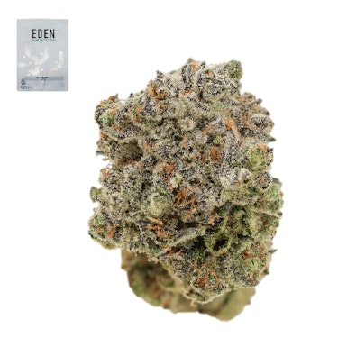 SKUNKBERRY 14G