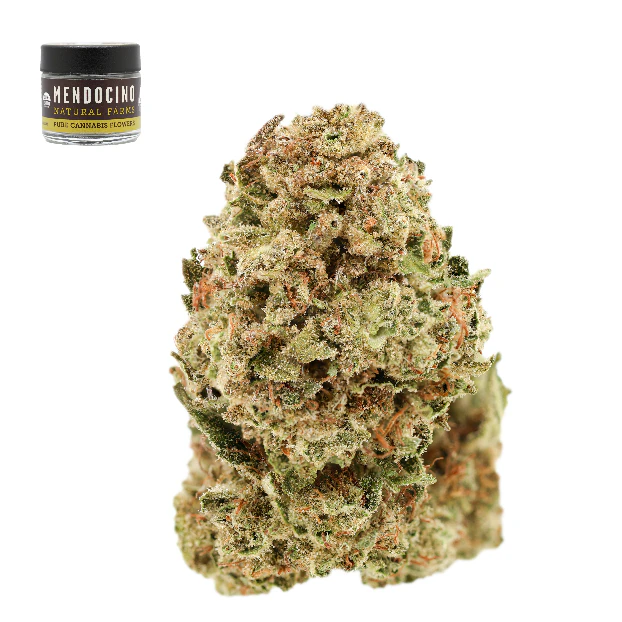 Mendocino natural farms - BANANA MELT SHAKE Main Image