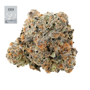 Eden - PURPLE CHEM 14G