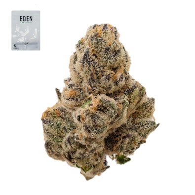 DURBAN MARGY 14G