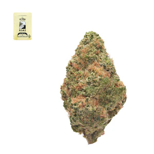 High road - JET FUEL