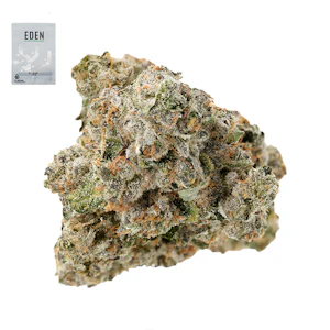 Eden - BLACK BUBBLEGUM 14G