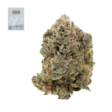 GUAVA X VERMONT DIESEL 14G