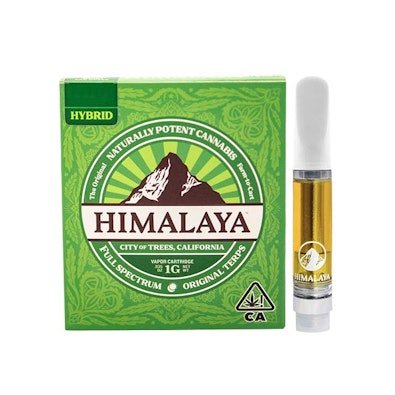 GELATTI CURED RESIN 1G