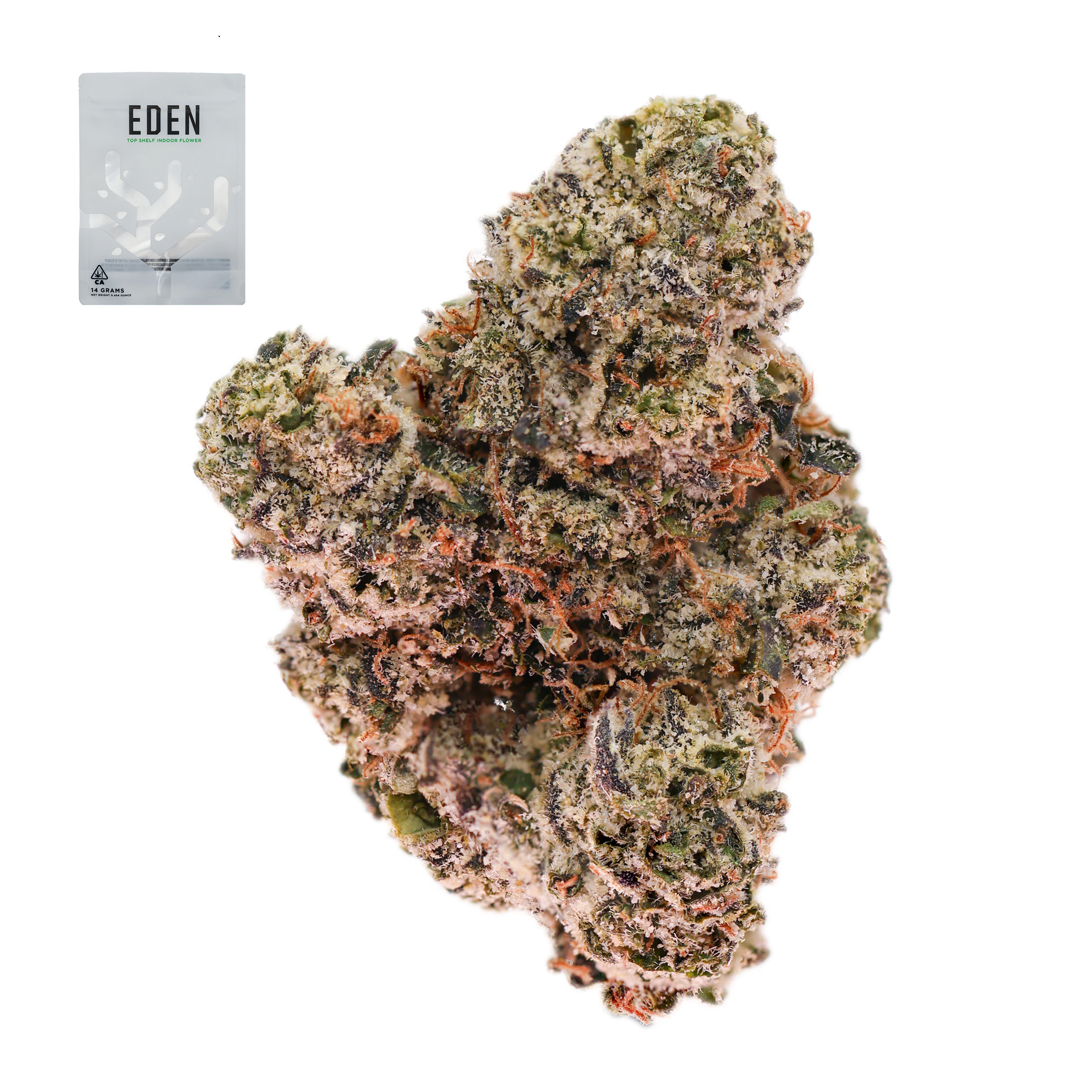 Eden - TERDZ 14G Main Image