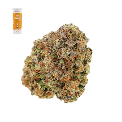 WHITE RHINO 14G