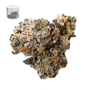 Eden - SCOOBY SNACKS