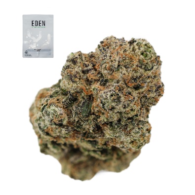 RAINBOW RUNTZ 14G
