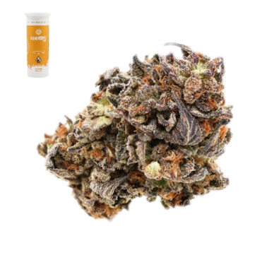 GARY PAYTON X ZKITTLEZ 14G