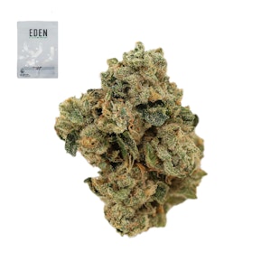 Eden - SOUTH FLORIDA OG 14G