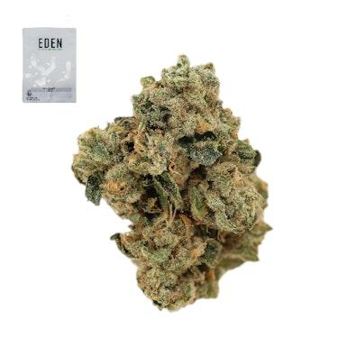 SOUTH FLORIDA OG 14G