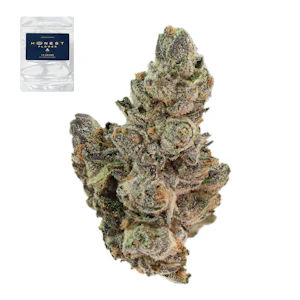 Honest flower - BLIZZARD QUEEN 14G