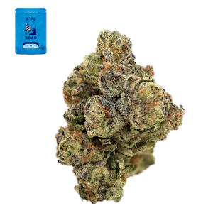 High road - BLUE ZUSHI