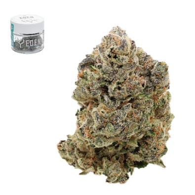 GUAVA X VERMONT DIESEL