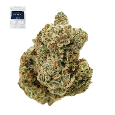 PRESIDENTIAL OG 14G
