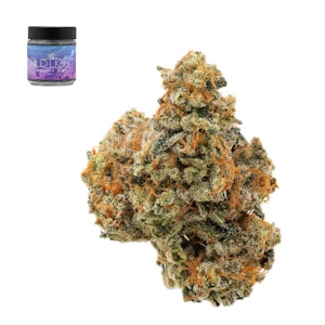 Wild light - GAS FACE