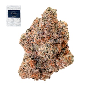 Honest flower - PINK BERRY 14G