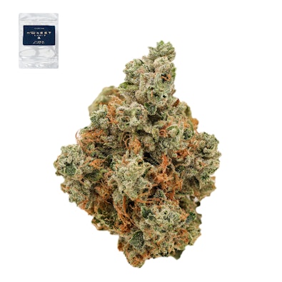 GINSENG OG 14G