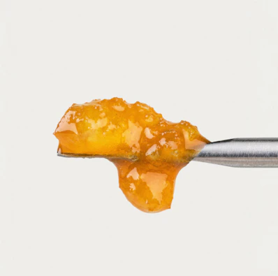 ORANGE RUNTZ - LIVE SAUCE