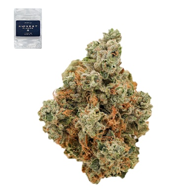 GINSENG OG