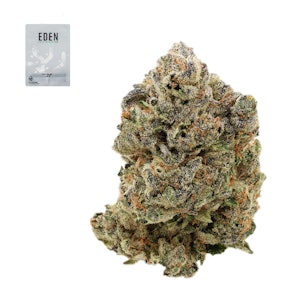 Eden - GUAVA X VERMONT DIESEL 14G