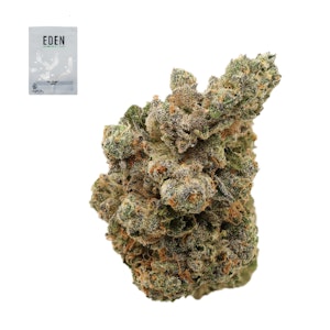 Eden - TAMPA CRIPPIE 14G