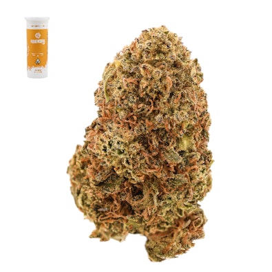 ORANGE ZKITTLEZ 14G
