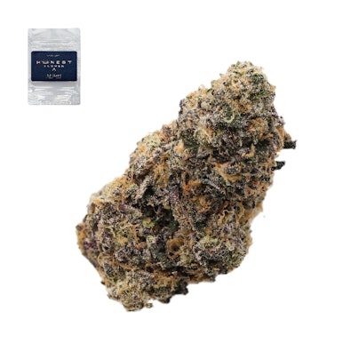 F1 DURBAN X GELATO 33