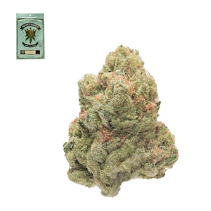 Quiet kings - ORANGE CREAMSICLE