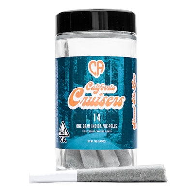 GELATO CAKE 14-PACK