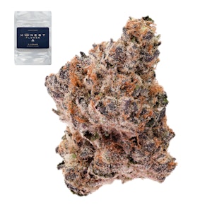 Honest flower - PURPLE FRITTER