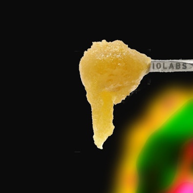 GMO - PERSY ROSIN SAUCE