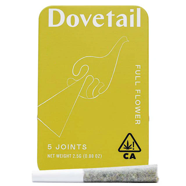 Dovetail - PAPAYA PUNCH 5-PACK Main Image