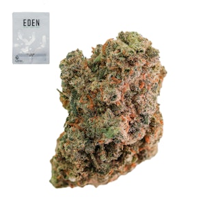 Eden - JACK HERER 14G