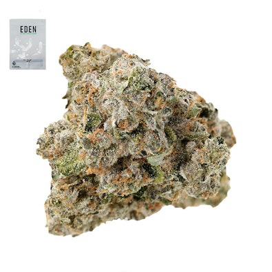 BLACKBERRY BUBBLEGUM