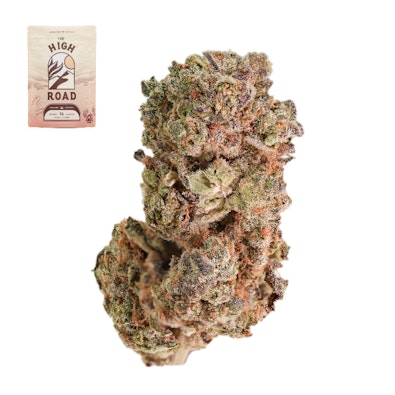 GOVERNMINT OASIS 14G