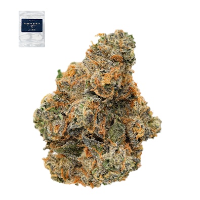 KHALIFA KANDY 14G