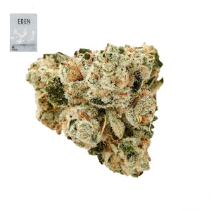 Eden - KING LOUIS XIII OG 14G
